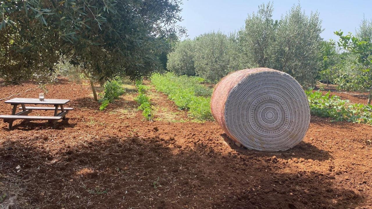 B&B Villa Mamma Grazia San Vito dei Normanni Dış mekan fotoğraf