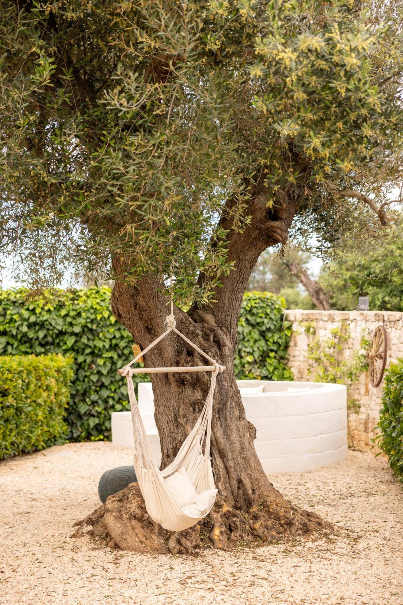 B&B Villa Mamma Grazia San Vito dei Normanni Dış mekan fotoğraf
